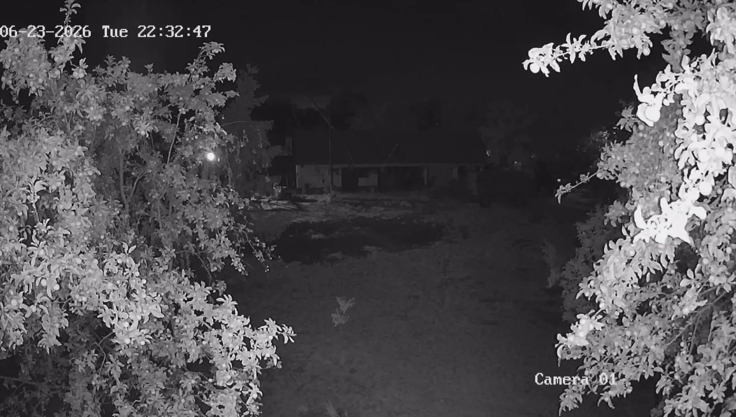 Hikvision DS-2CD1121-I dome kamera éjszakai infravörös tesztképe